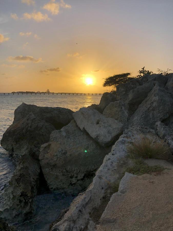 Palmhouse Apartments Aruba 1- 4 Persons Savaneta Exterior foto