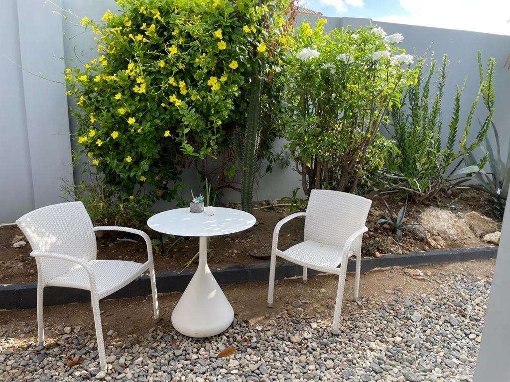 Palmhouse Apartments Aruba 1- 4 Persons Savaneta Exterior foto