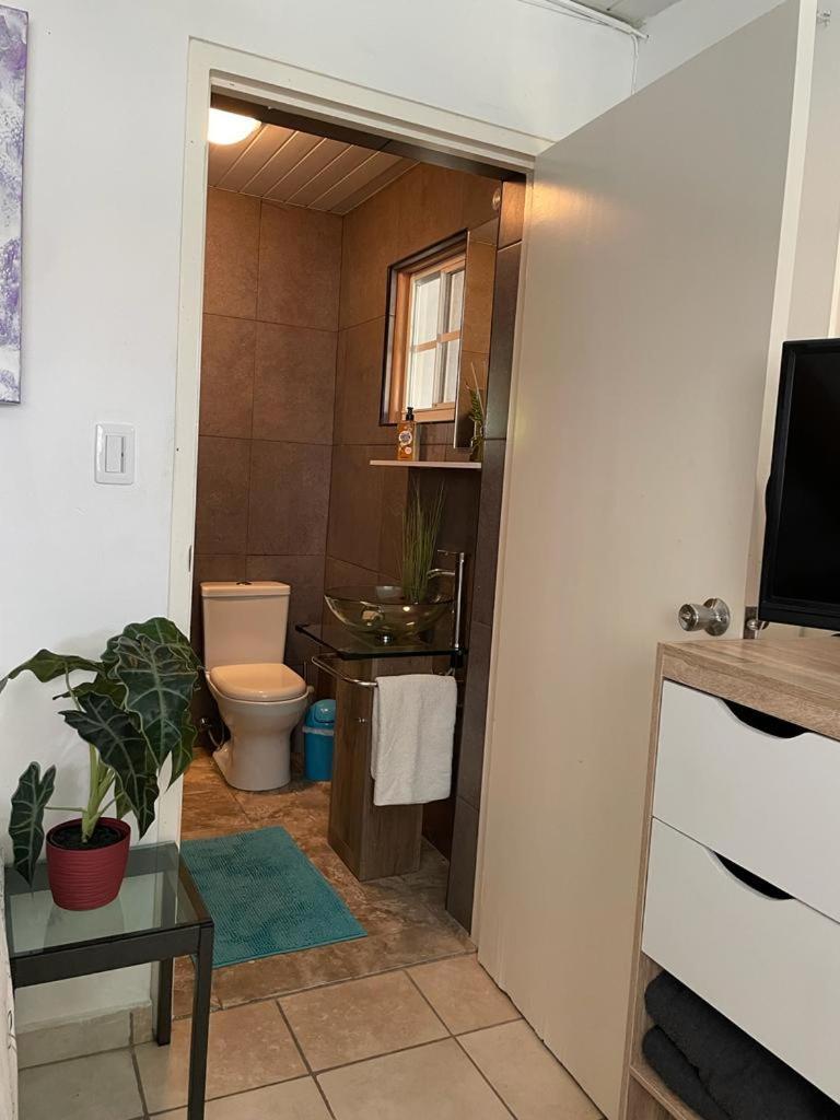 Palmhouse Apartments Aruba 1- 4 Persons Savaneta Exterior foto